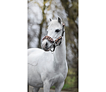 Licol poulain et shetland en polaire Teddy  Cozy Adjustable