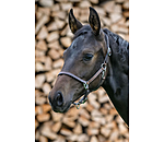 Licol en cuir pour poulains  Classic