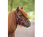 Licol pour poulains et shetlands  Twinkle