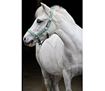 Licol pour poulains et shetlands  Twinkle