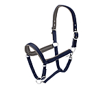navy classique