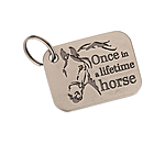 Pendentif  Once in a lifetime horse