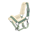 Licol pour poulains et shetlands  Shine