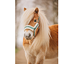 Licol pour poulains et shetlands  Shine