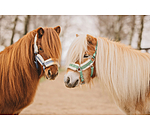 Licol pour poulains et shetlands  Shine