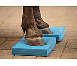 Coussins  Balance