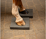 Coussins  Balance