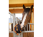Jouet pour cheval  Snack