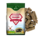 Friandises magiques brillance