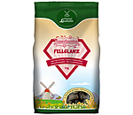 Friandises magiques brillance