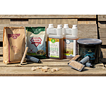 Friandises magiques brillance