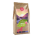 Friandises  la framboise  Out of the Woods