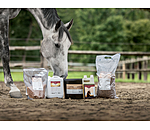 Graines de lin jaune