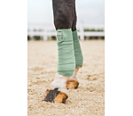 Bandes polaire  Essential