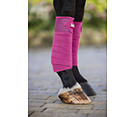 Bandes polaire  Essential