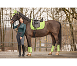 Bandes polaire  Essential