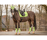 Bandes polaire  Essential