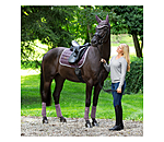 Bandes en polaire  Essential