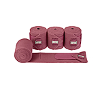 Bandes polaire  Essential