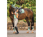Gutres de dressage en polaire Teddy  Essential, pour antrieurs