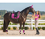 Gutres de dressage en polaire Teddy  Essential, pour antrieurs