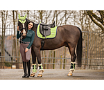 Gutres de dressage en polaire Teddy  Essential, pour antrieurs