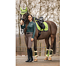 Gutres de dressage en polaire Teddy  Essential, pour antrieurs