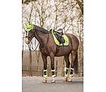 Gutres de dressage en polaire Teddy  Essential, pour antrieurs