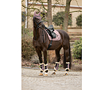 Gu�tres de dressage en polaire Teddy  Essential (ant�rieurs)