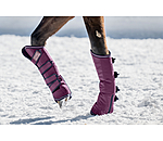 Gu�tres de transport   Kilian