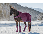 Gu�tres de transport   Kilian