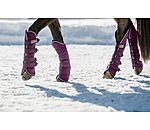 Gu�tres de transport   Kilian