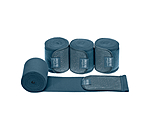 Bandes polaire  Sparkling II