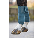 Bandes polaire  Sparkling II