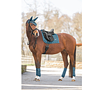 Bandes polaire  Sparkling II