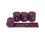 Bandes polaire  Sparkling II