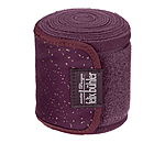 Bandes polaire  Sparkling II