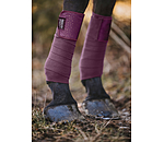 Bandes polaire  Sparkling II