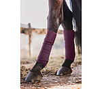Bandes polaire  Sparkling II