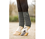 Bandes polaire  Sparkling II