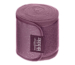 Bandes polaire  Sparkling II