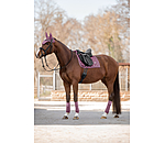 Bandes polaire  Sparkling II