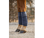 Bandes polaire  Sparkling II