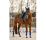 Bandes polaire  Sparkling II