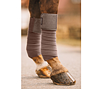 Bandes polaire  Sparkling II