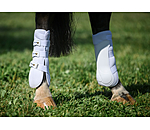 Gutres postrieurs  Perfect Protection Air mesh