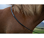 R�nes islandaises super grip
