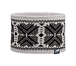 Bandeau  Norway Spirit
