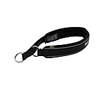 Collier anti-traction pour chien  Charlie