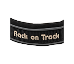 Collier anti-traction pour chien  Charlie
